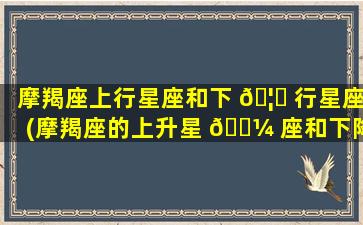 摩羯座上行星座和下 🦋 行星座(摩羯座的上升星 🌼 座和下降星座是什么)